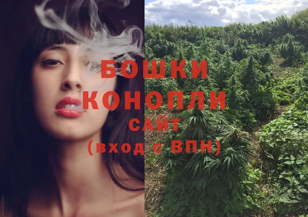 стаф Балахна