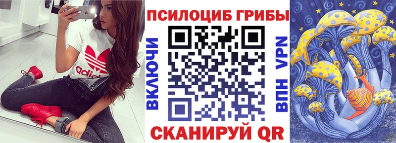 Галлюциногенные грибы мухоморы  мориарти телеграм  Питкяранта  omg ТОР 