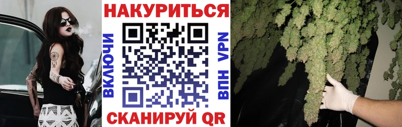 продажа наркотиков  Питкяранта  Бошки марихуана сатива 